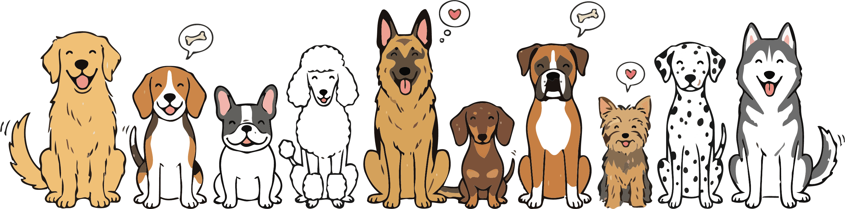 A group of happy dogs